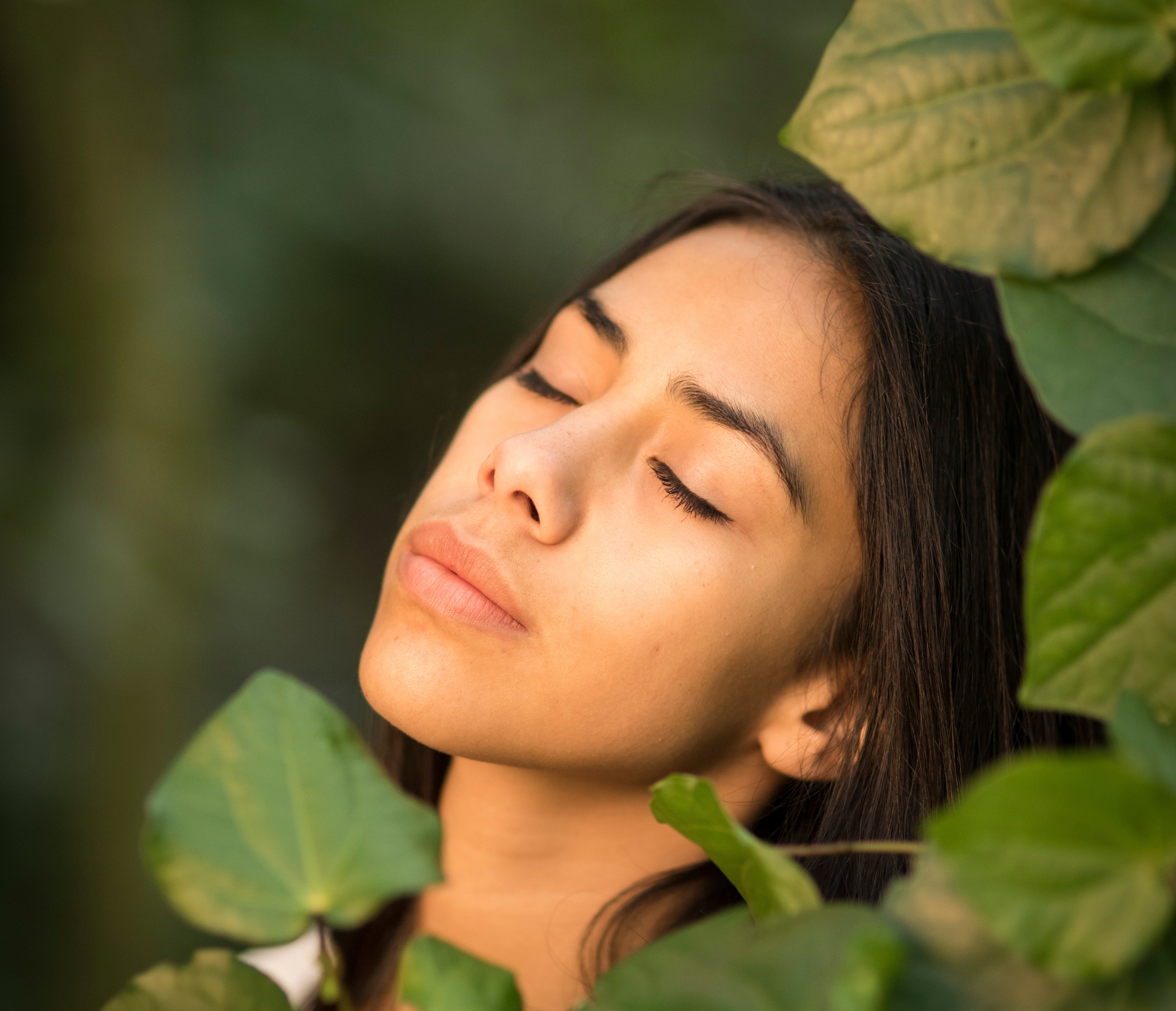 Kawakawa: The Heart-Shaped Plant with Big Skincare Benefits from Aotearoa, New Zealand