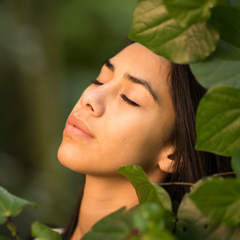 Woman in the sunlight amongst kawakawa leaves 